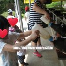 솔빈목장 이미지