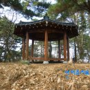 금박산농장 Daum카페