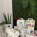 무하로 | 화성대형카페｜아이동반 가족 방문에 좋은 언더더트리 후기