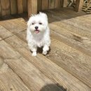 견생원 이미지