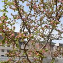 이화예능유치원 이미지