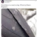 승은식당 이미지