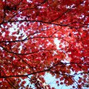 육모정민박 이미지