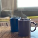 에바다애견 이미지