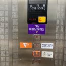 골든햄스터분양 탬펫 이미지