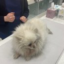 메이 동물병원 이미지