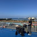 푸르곤 [애견동반 제주도 여행] 3박4일 중 4일차 마지막 날 | <b>푸르곤</b>애견카페 | 애월돌담길