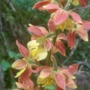 둥지세신 이미지