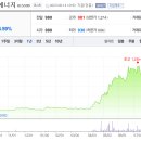 케이아이비패밀리블라인드