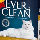 에버크린 이미지