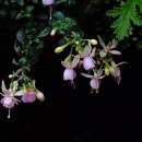 행복그자리 이미지