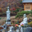 남노일로 이미지