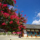 서해랑길 43코스 이미지