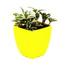 미라클팜 이미지