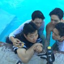 꽃보다청춘