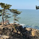 솔향기민박 이미지