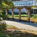 허밍웨이길 이미지