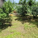 감치농장 이미지