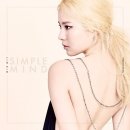 심플마인드 이미지