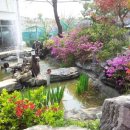 비남가든 이미지