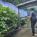 북산경로당 이미지