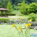 의령예술촌(야외) 이미지