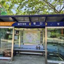 솔내음산촌마을 이미지