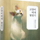 고양이에게 말걸기 | 백종선 소설집 | 2022.12.10 출간 이미지