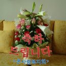 대구광역시 중구 보건소 이미지