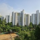 목동최고부동산공인중개사사무소 이미지