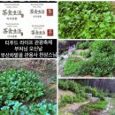 푸드 앤 라이프(Food & Life)