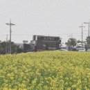 안덕면 산방복지회관 이미지