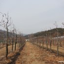 현진1농장 네이버블로그