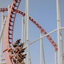 선암호수태권도 이미지