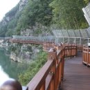 단양 마중 이미지