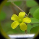 산본고등학교 이미지