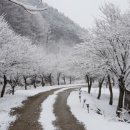 바우펜션 이미지