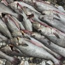 죽교농장 이미지