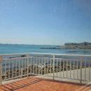 해뜨는 해수월드 이미지