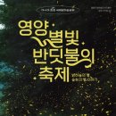 반딧불이의 기억 이미지