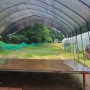 송산레포츠 이미지