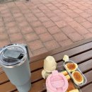 와니피자치킨
