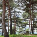 자라섬남도1(강변) 이미지