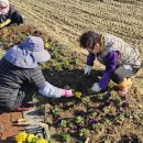 온양6동 외암로 이미지