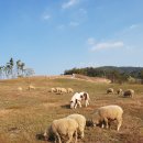 블랙스톤벨포레 루지하우스 이미지