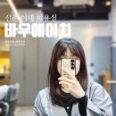 바우에이치