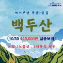 돌고래여행사(주) 티스토리