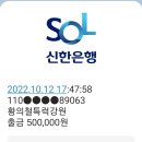 2022.10.12 강원도 부연동 계곡 외 원정 회계보고 이미지