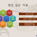 적송원
