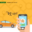대구 펫 택시 이미지